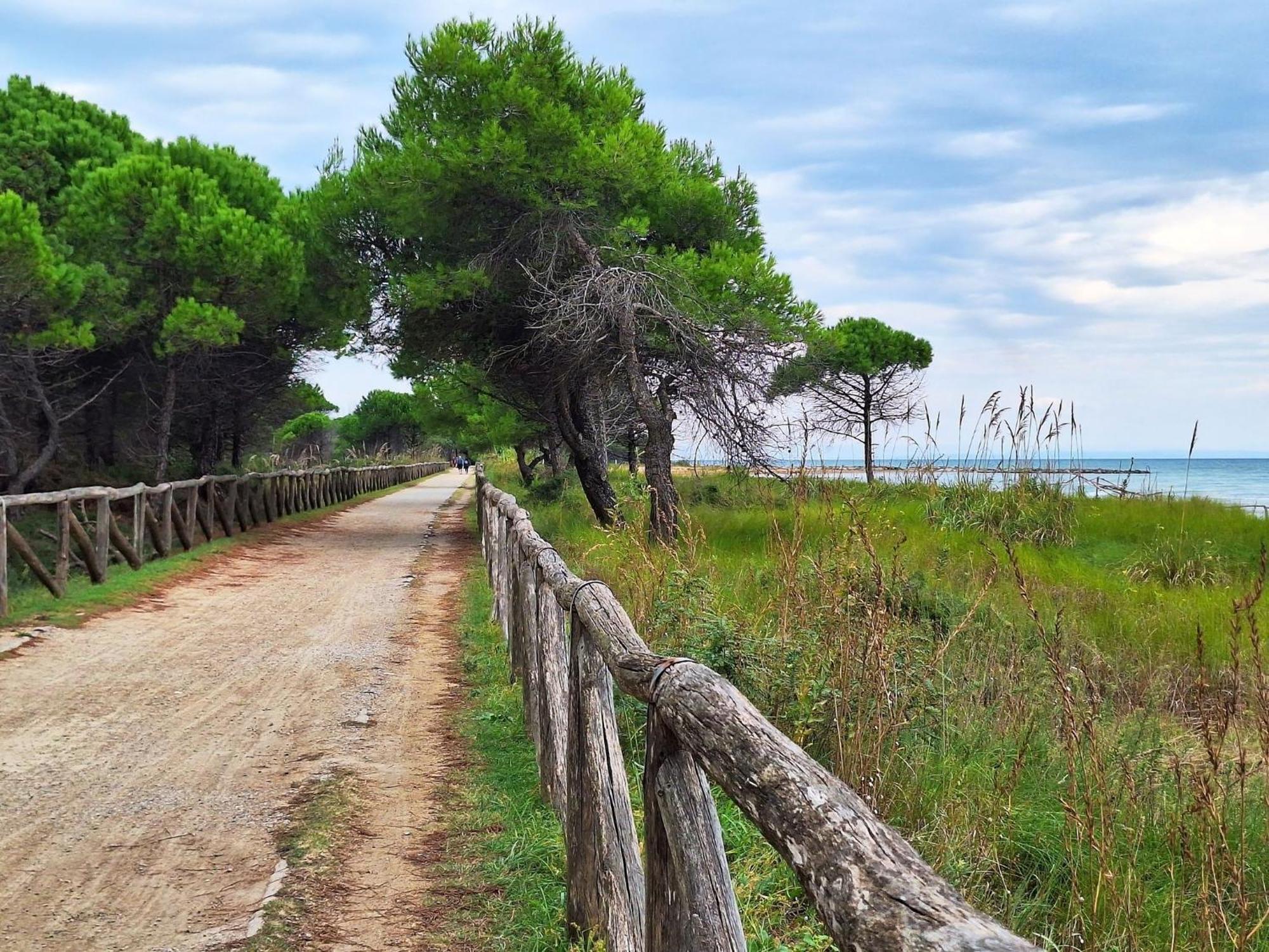 Welcoming Flat For 6 Guests Next To The * Bibione